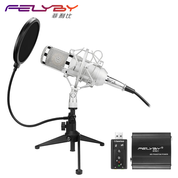 FELYBY Professional BM 800 Condenser microphone Pro audio studio vocal recording Karaoke Desktop mic 48V phantom power Filter