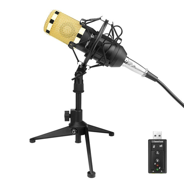 FELYBY Professional BM 800 Condenser microphone Pro audio studio vocal recording Karaoke Desktop mic 48V phantom power Filter